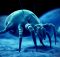 dust and dust mites in blue