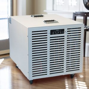 Dehumidifier for Mold Control