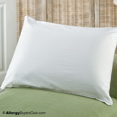 dust mite encasing pillow