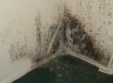 Mold-Problems