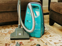 SEBO-C2-Vacuum-Cleaner;-A-Perfect-Answer-to-Cat-Hair-Clean-Up