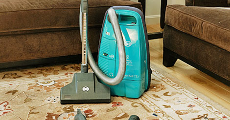 SEBO-C2-Vacuum-Cleaner;-A-Perfect-Answer-to-Cat-Hair-Clean-Up