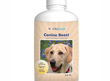 Natural Pet Food Supplements