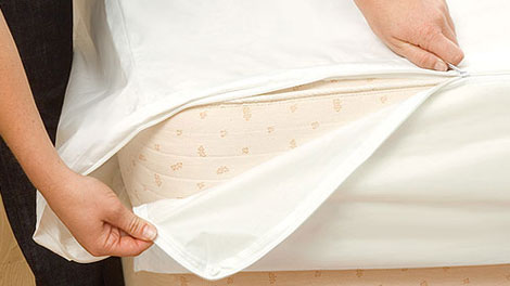 BeneSleep-Bed-Bug-Covers-Review