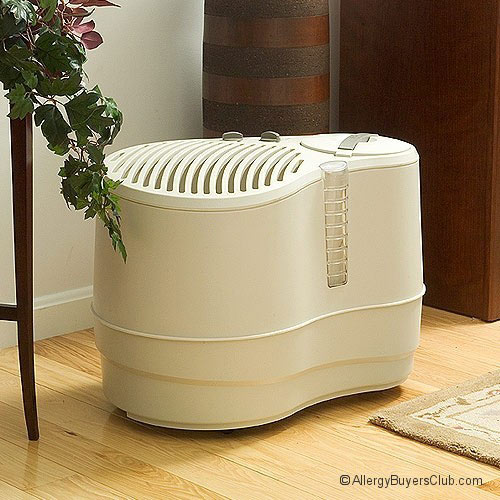 Cascading Waterfall 9 Gallon Cool Mist Humidifier Review