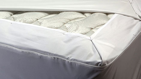 SecureSleep-Bed-Bug-Mattress-Cover-Sets-Review