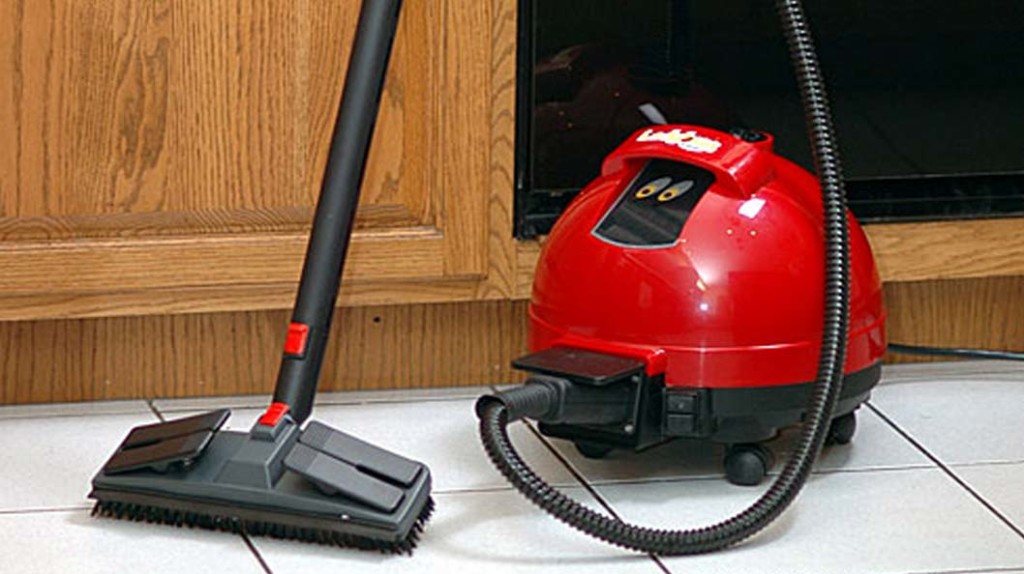 Ladybug-2150-Steam-Cleaner-Review