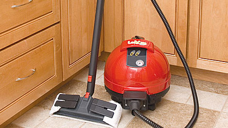 Ladybug Steam Cleaners  Steam cleaning, reinvented by Ladybug