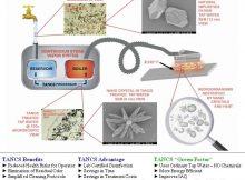 How does Ladybug TANCS work?