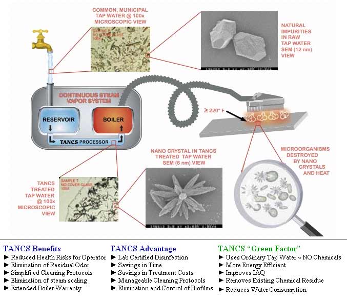 How does Ladybug TANCS work?