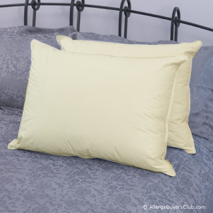 Allergy Bedding HYPOALLERGENIC PILLOWS