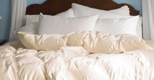 Allergy Bedding