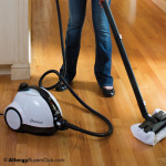 WhiteWing Breeze Steam Cleaners