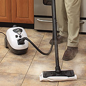 WhiteWing II Steam Cleaner