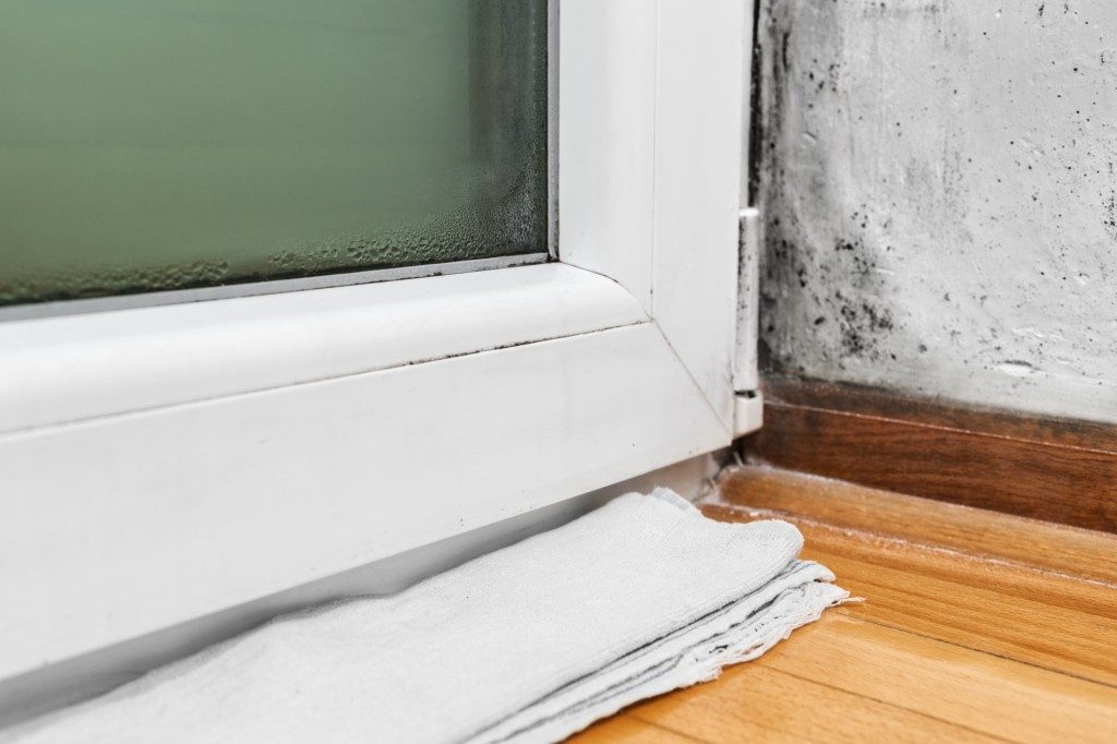 Removing mold from your corners