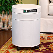 Airpura R600 All Purpose Air Purifier