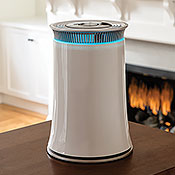 Fall Allergies - Grey QuietPure Whisper Air Purifier