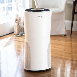 Fall Allergies - QuietPure Home Air Purifier