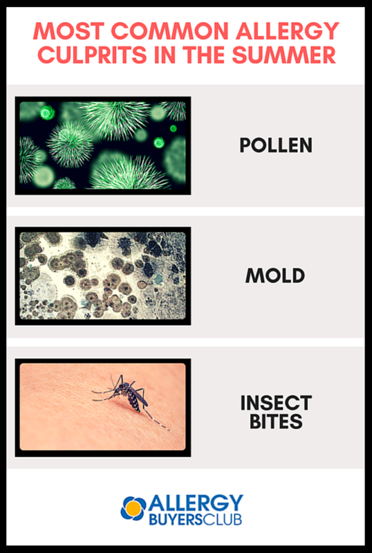 Most Common Allergy Culprits in Summer: Pollen, Mold, and Insect Bites AllergyBuyersClub