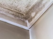 Mold in corner impacting your health