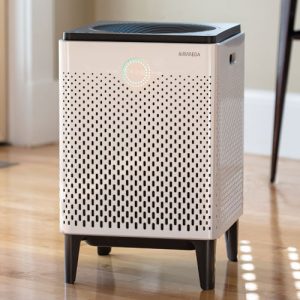 Airmega 300 Air Purifiers