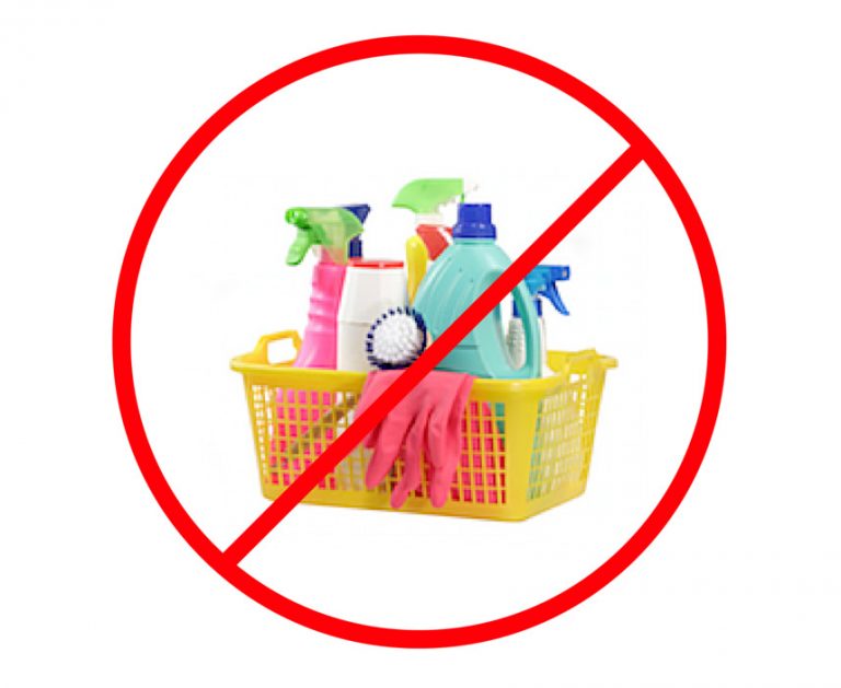 Best Steam Cleaners AllergyConsumerReview