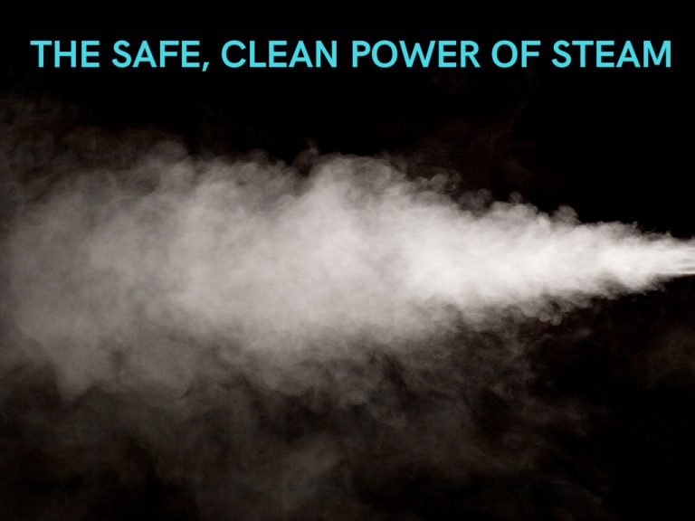 Best Steam Cleaners AllergyConsumerReview