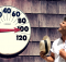 man near a thermometer too hot, a dehumidifier or air conditioner?