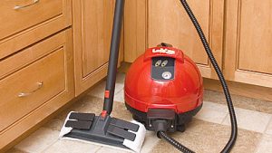 ladybug steam cleaner