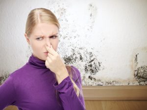 Woman wearing purple shirt hold nose for smelly mold