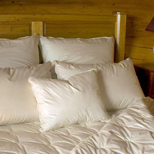 9 Tips For Finding the Best Allergy Pillows AllergyConsumerReview