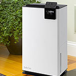 Stadler Form Albert Dehumidifier