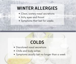 winter allergies and colds