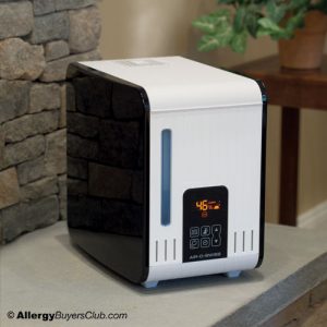 Best Steam Humidifier