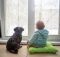 air purifier humidifier boy & dog