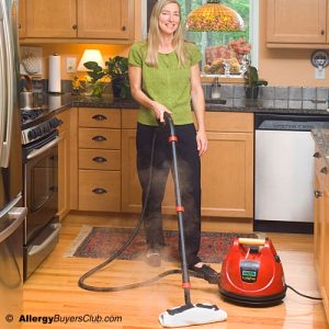 Ladybug Tekno 2350 TANCS Commercial Grade Vapor Steam Cleaners