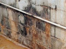 nasty wall basement flooding clean up tips