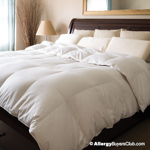 Silk Comforter Review AllergyConsumerReview