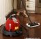 Red Ladybug XL2300 TANCS Vapor Steam Cleaners