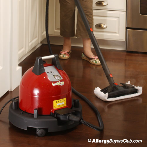 Red Ladybug XL2300 TANCS Vapor Steam Cleaners