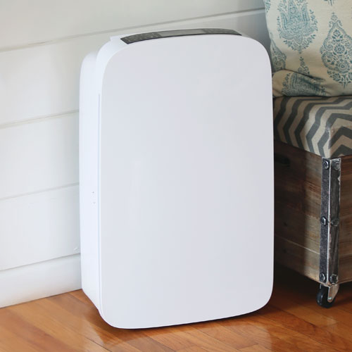 dehumidifier and air purifier for basement