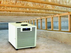 Fral basement dehumidifier