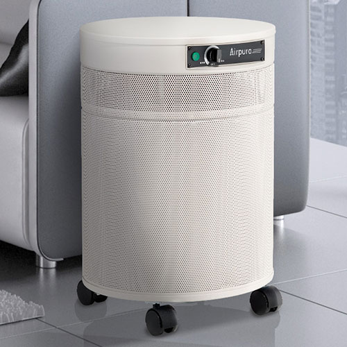 top 10 air purifiers for allergies