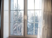 window with pine trees in background