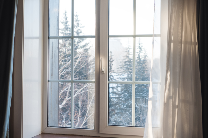 window with pine trees in background