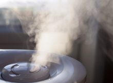 humidifier in living room