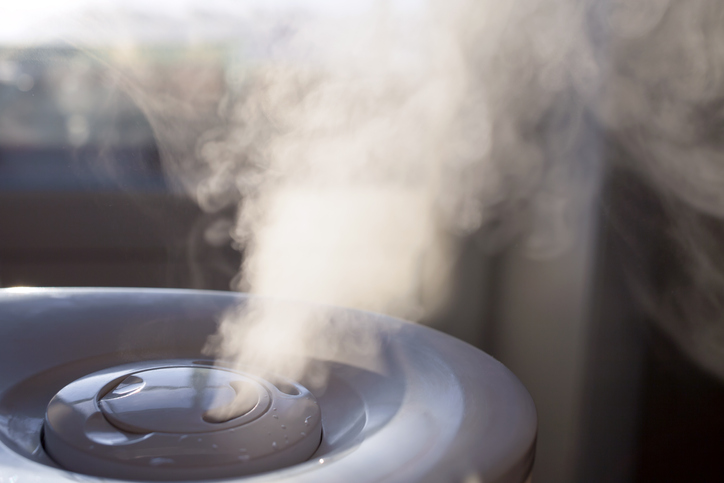 humidifier in living room