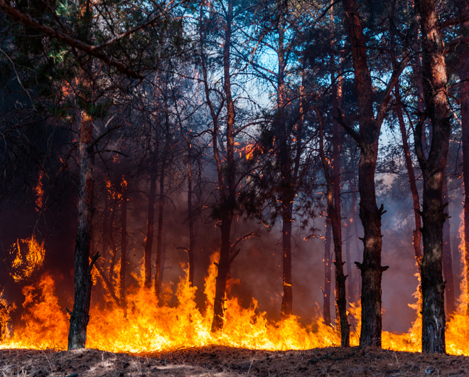 wildfires burning