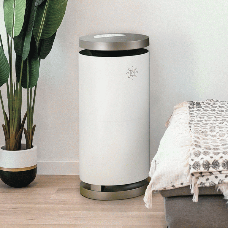 How to Change Filters in Your Air Purifier AllergyConsumerReview