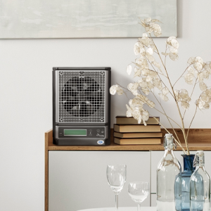 ecosphere air cleaner